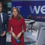 Ist Fanny Fee Werther verheiratet